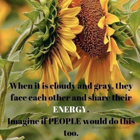 Meet your Posher, Paula - Picture 7 of 9